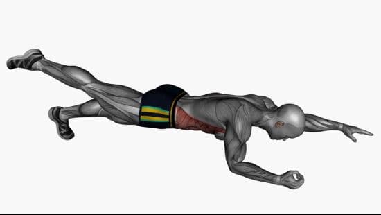 Alternating arm leg plank hold