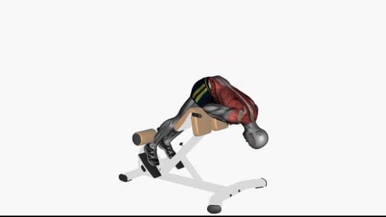 Back extension machine