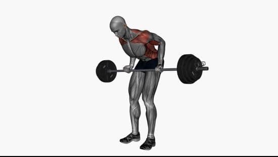 Barbell bent over row pronated grip