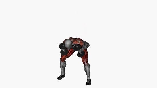 Good mornings dumbell