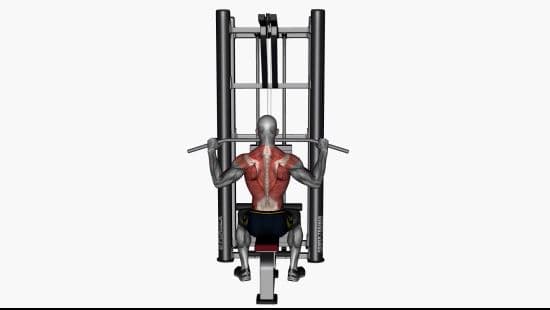 Lat pull down normal grip