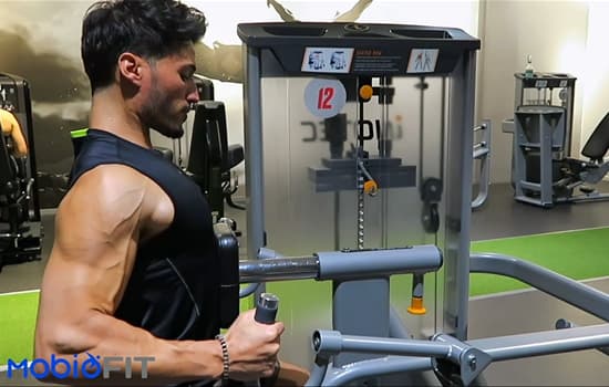 Machine Seated Row