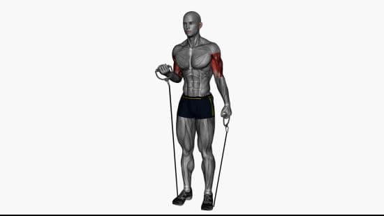 Alternate biceps curl resistance band