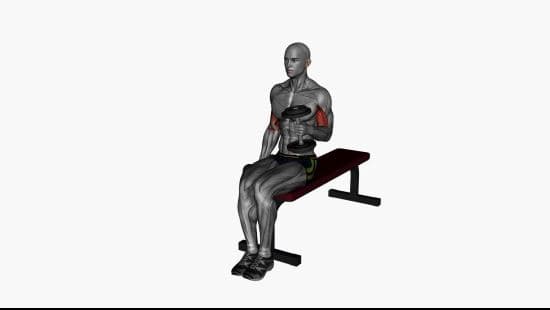 Alternate hammer curl seated dumbbells