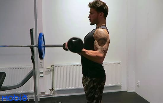 Bar Biceps Curl