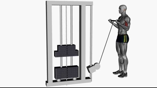 Biceps curl cable