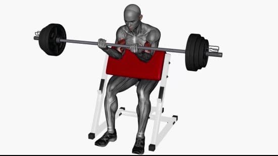 Preacher curl barbell