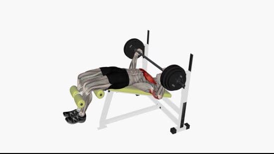 Barbell bench press decline