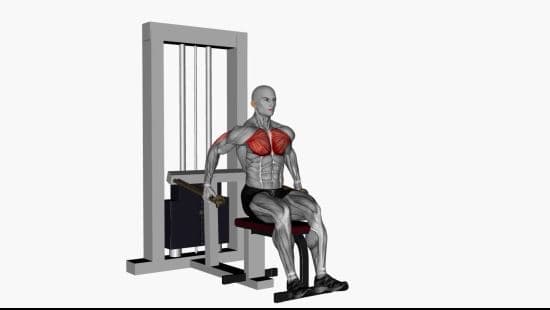 Chest dip machine