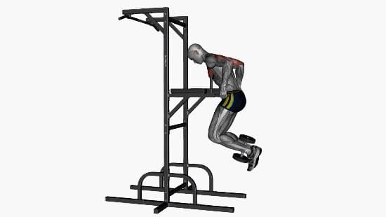 Chest dip weighted