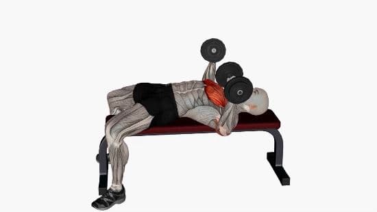 Dumbbell chest press flat
