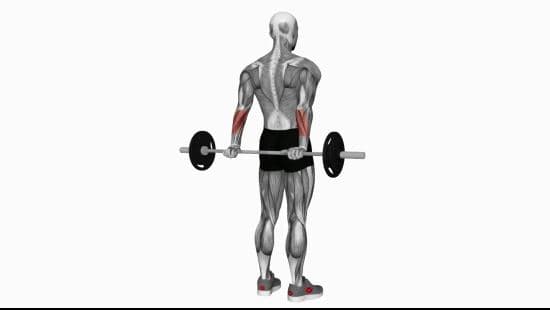 Barbell standing back wrist curl