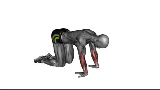 Kneeling wrist flexor stretch