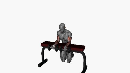 Wrist curl dumbell