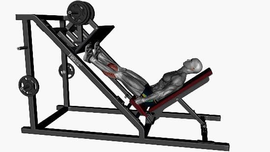 Calf raise leg press machine