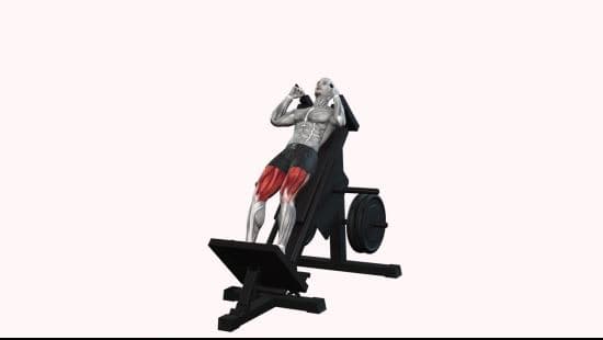 Hack squats machine
