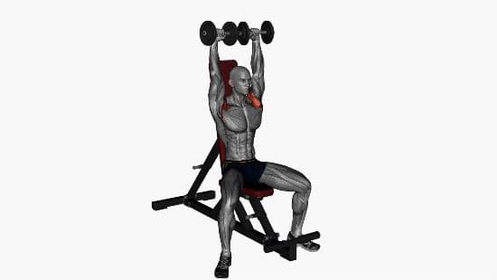 Arnold press dumbell