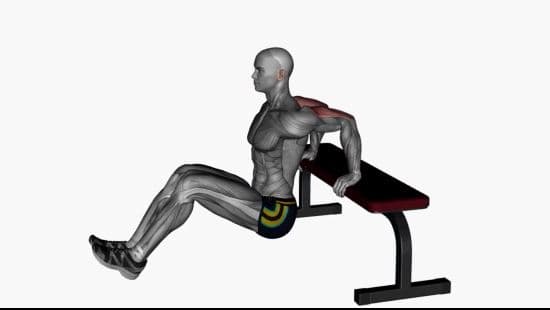 Bench triceps dip leg curls