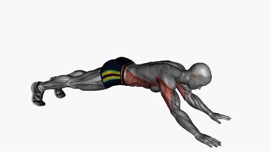 Body weight triceps extension