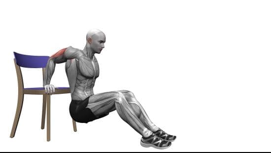 Chair triceps dips