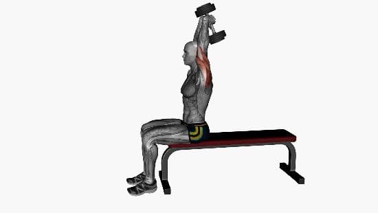 Dumbell overhead extension seated